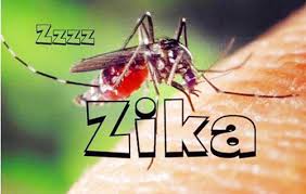 Diệt muỗi phòng chống virus zika