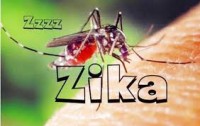 CÁCH DIỆT MUỖI PHÒNG CHỐNG VIRUS ZIKA